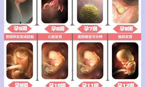 白芍总苷胶囊能治口腔扁平苔藓吗-白芍总苷胶囊治湿疹吗网 - 网站提供白芍总苷胶囊有哪些副作用小常识、白芍总苷胶囊功能主治